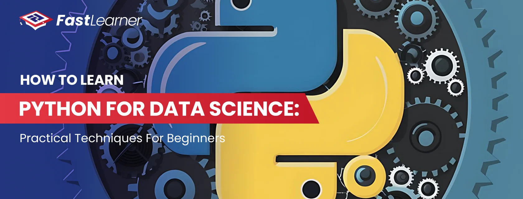 How to Learn Python for Data Science Practical Techniques for Beginners